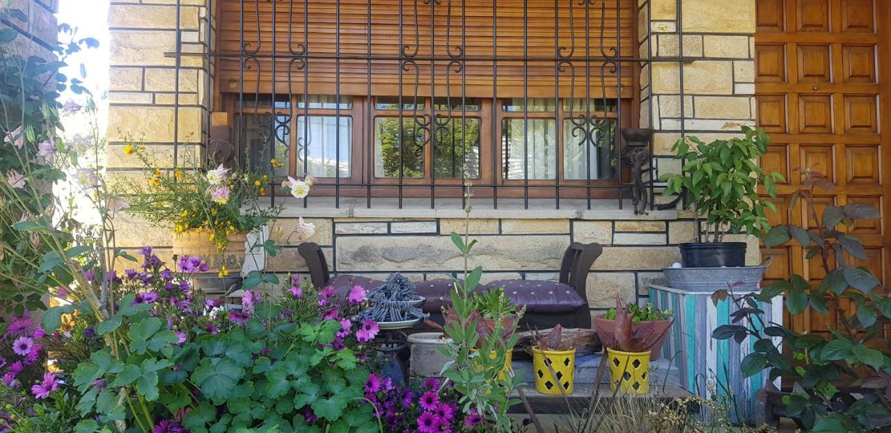 سان كارلوس دي باريلوتشي Citizen Kane Lodge - Hospedaje Gourmet المظهر الخارجي الصورة